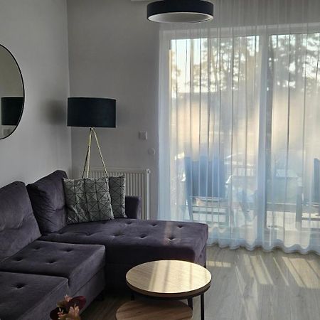 Apartament Sosnowa 4 ミエルノ エクステリア 写真